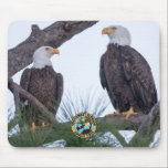 SWFL Eagle Cam Mouse Pad<br><div class="desc">Photo by Desiree Deliz
Harriet & M- SWFLEagleCam 2021</div>