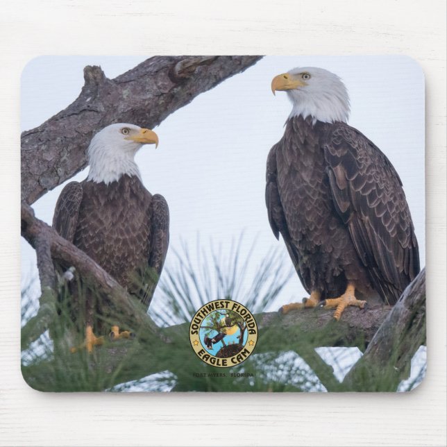 SWFL Eagle Cam Mouse Pad (Front)