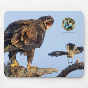 SWFL Eagle Cam Mouse Pad- E22 & Friend Mouse Pad