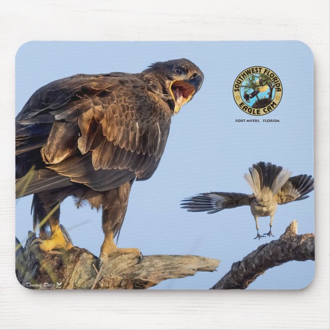 SWFL Eagle Cam Mouse Pad- E22 & Friend Pad (Front)