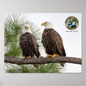 Swfl Eagle Cam Wall Poster by SWFLEagleCam at Zazzle