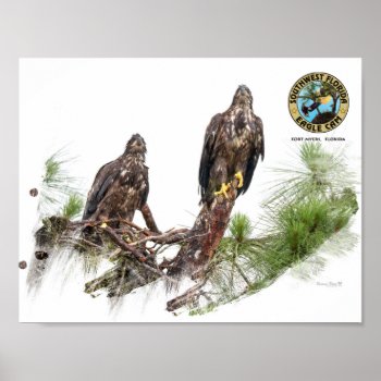 Swfl Eagle Cam Wall Poster by SWFLEagleCam at Zazzle