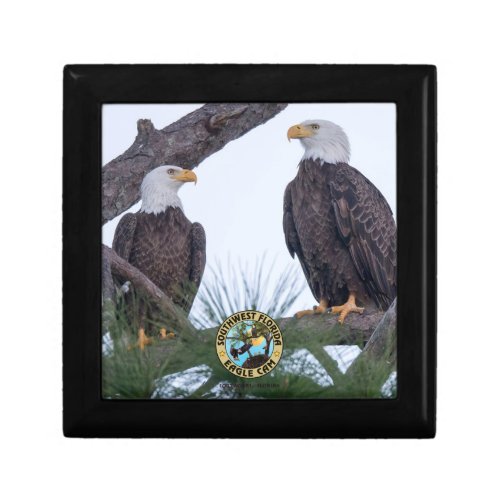 SWFL Eagle Cam Wooden Jewelry Keepsake Box