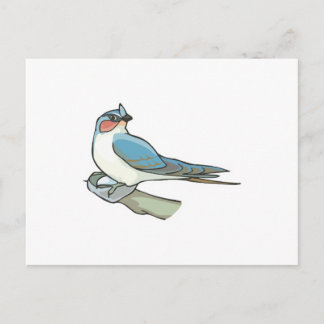 swift bird postcard