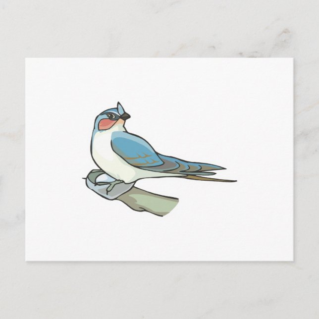 swift bird postcard (Front)