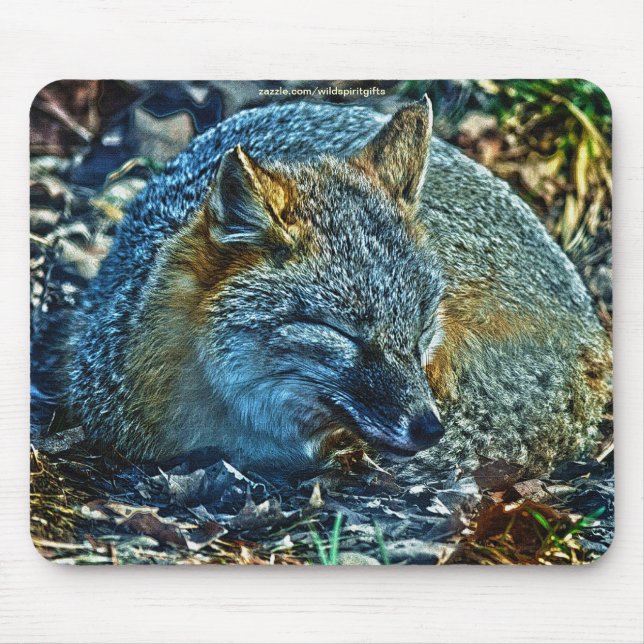 Swift Fox Asleep on Leaves Wildlife Mousepad (Front)
