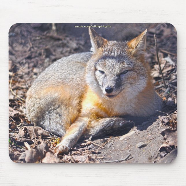 Swift Fox Resting in Sunshine Wildlife Mousepad (Front)