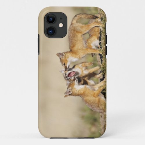 Swift Fox Vulpes macrotis young at den burrow iPhone 11 Case