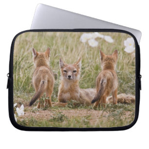 Swift Fox (Vulpes velox) female with young at Laptop Sleeve