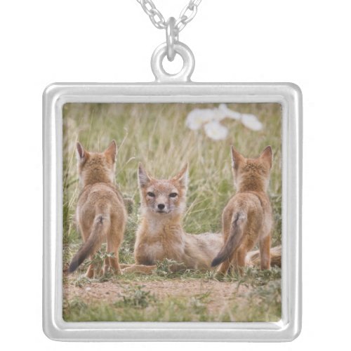 Swift Fox Vulpes velox female with young at Silver Plated Necklace