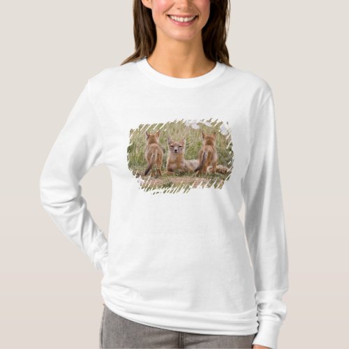 Swift Fox Vulpes velox female with young at T_Shirt