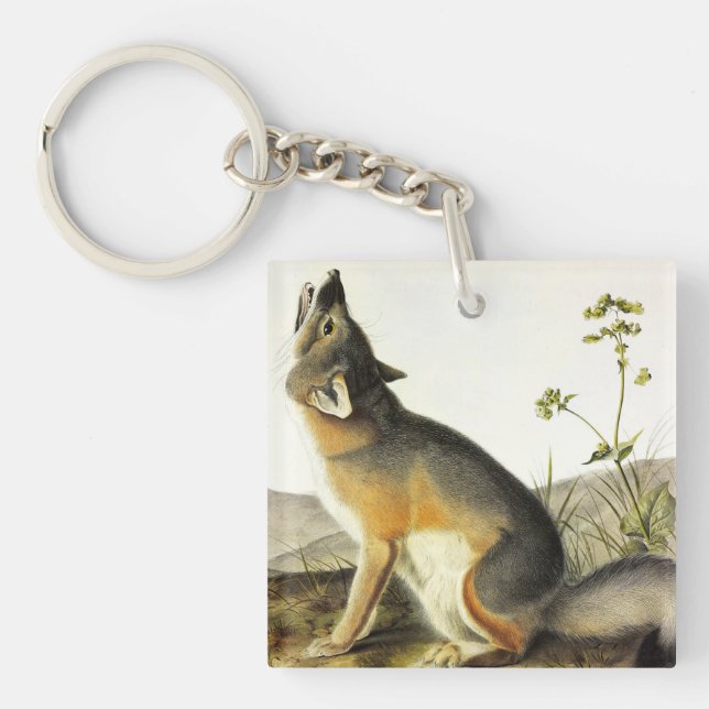 Swift Fox (Vulpes Velox) from Audubon's Quadrupeds Keychain (Front)