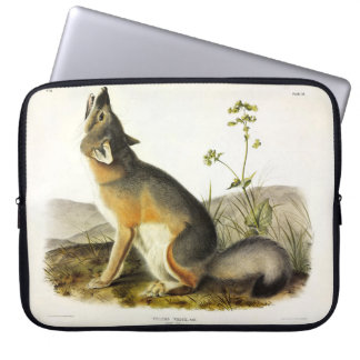 Swift Fox (Vulpes Velox) from Audubon's Quadrupeds Laptop Sleeve