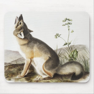 Swift Fox (Vulpes velox) Illustration Mouse Pad