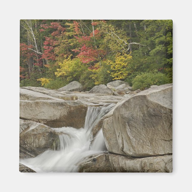 Swift River cascading through rocks, White Magnet (Front)
