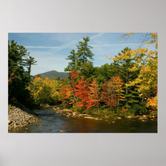 Swift River NH  Print