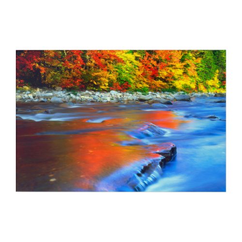 Swift River reflecting autumn colors Acrylic Print