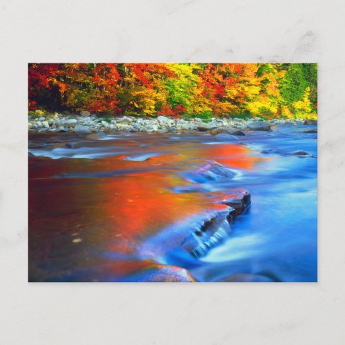 Swift River reflecting autumn colors Postcard