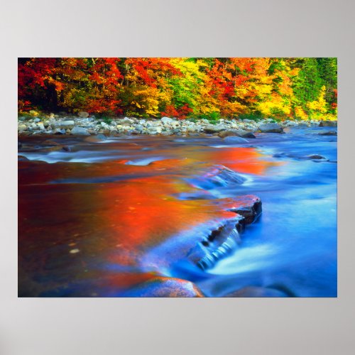 Swift River reflecting autumn colors Poster