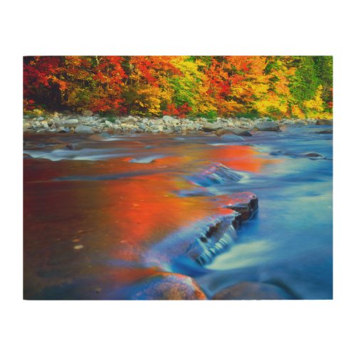 Swift River reflecting autumn colors Wood Wall Art