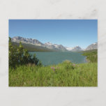 Swiftcurrent Lake at Glacier National Park Postcard