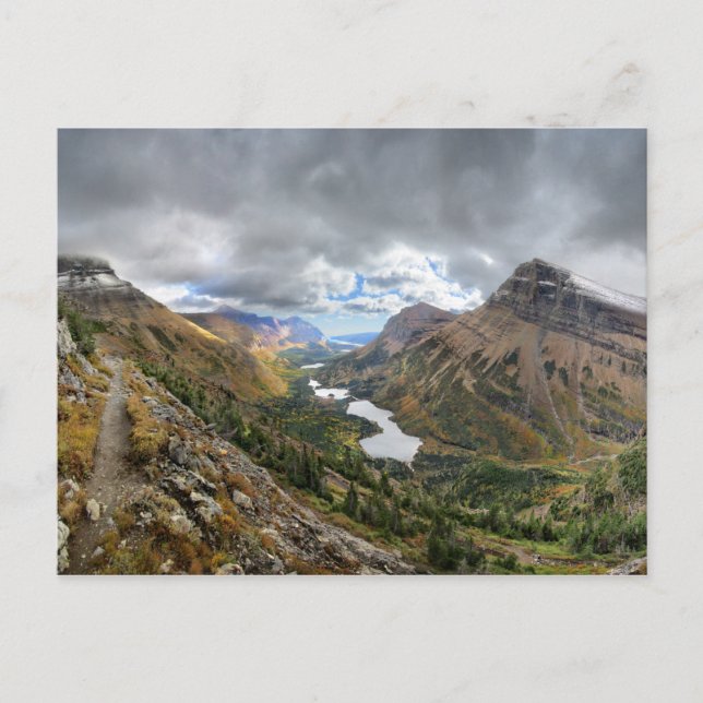 Swiftcurrent Pass Trail 4 - Glacier National Park Postcard (Front)