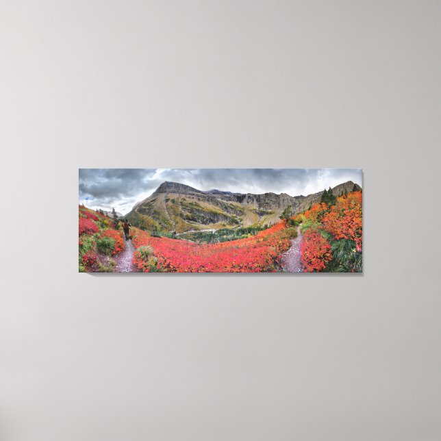 Swiftcurrent Pass Trail - Glacier National Park Canvas Print (Front)