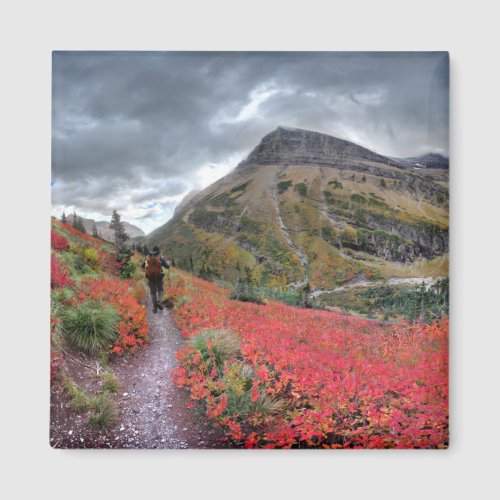 Swiftcurrent Pass Trail _ Glacier National Park Magnet