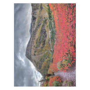 Swiftcurrent Pass Trail - Glacier National Park Tablecloth