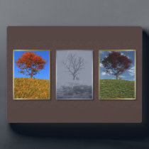 Swiftly Fly the Years Triptych Photo Plaque