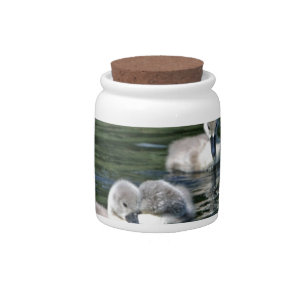 Swim Friends Candy Jar