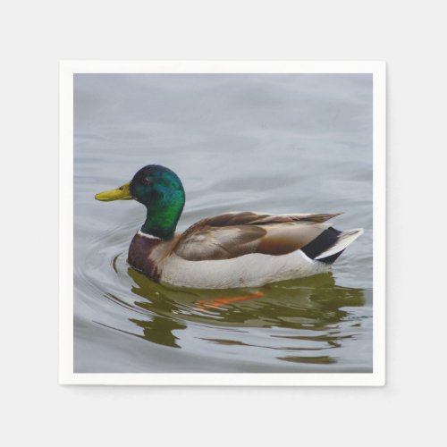 Swim Mallard Swim Napkins