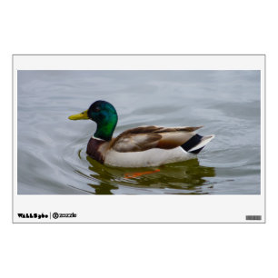 Swim Mallard Swim Wall Decal