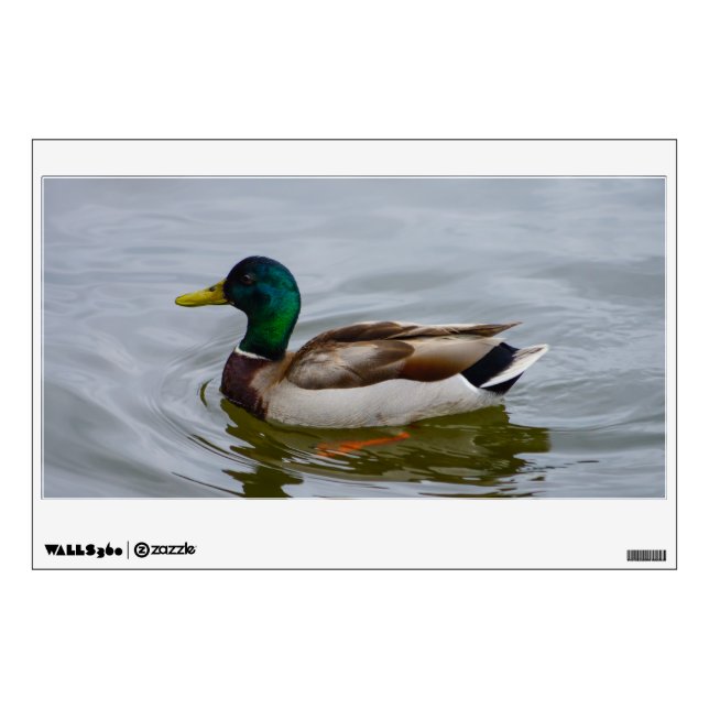 Swim Mallard Swim Wall Decal (Front)