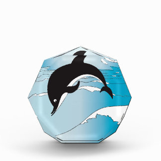 Swim With Dolphins Acrylic Award