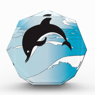 Swim With Dolphins Award