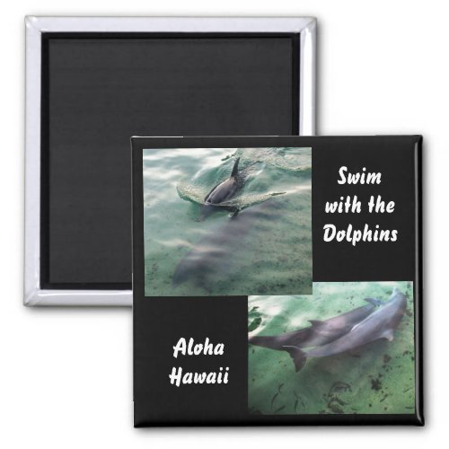 Swim with Dolphins Hawaii Magnet