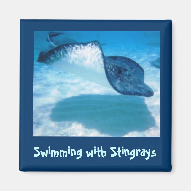Swim with Rays SWRS1 Magnet (Front)
