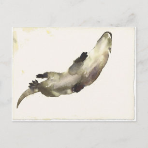 Swimming Above Postcard