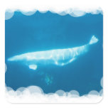 Swimming Beluga Whales Sticker