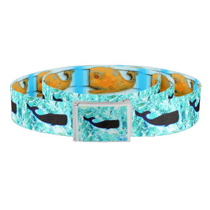 swimming black whales blue belt