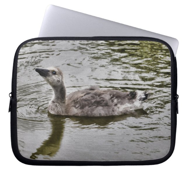 Swimming Canada Gosling Wildlife Art Scene Laptop Sleeve (Front)