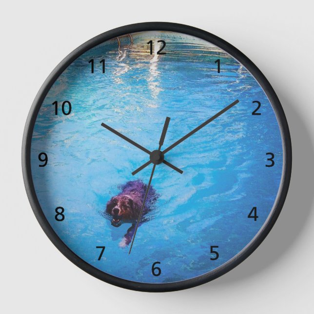 Swimming Dog Acrylic Wall Clock (Front)