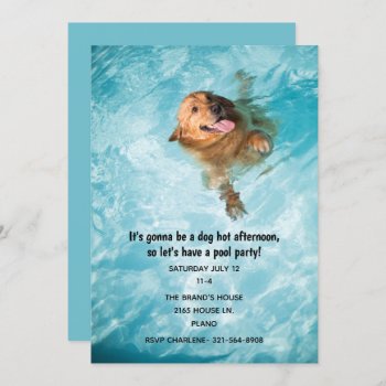 Swimming Dog Pool Party Invitation by Hannahscloset at Zazzle