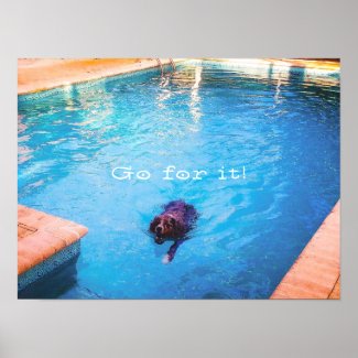 Swimming Dog Poster