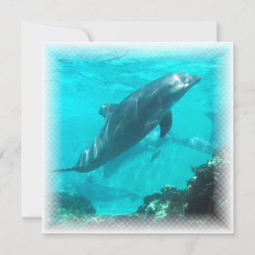 Swimming Dolphin Invitation