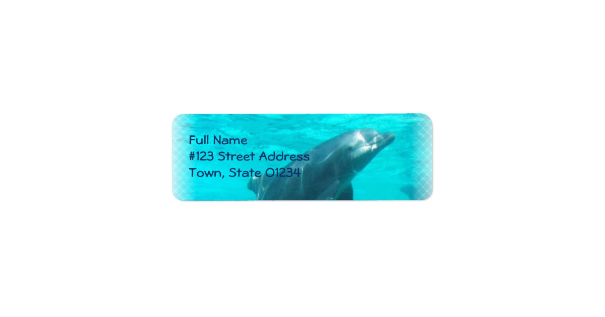 Swimming Dolphin Return Address Label Zazzle