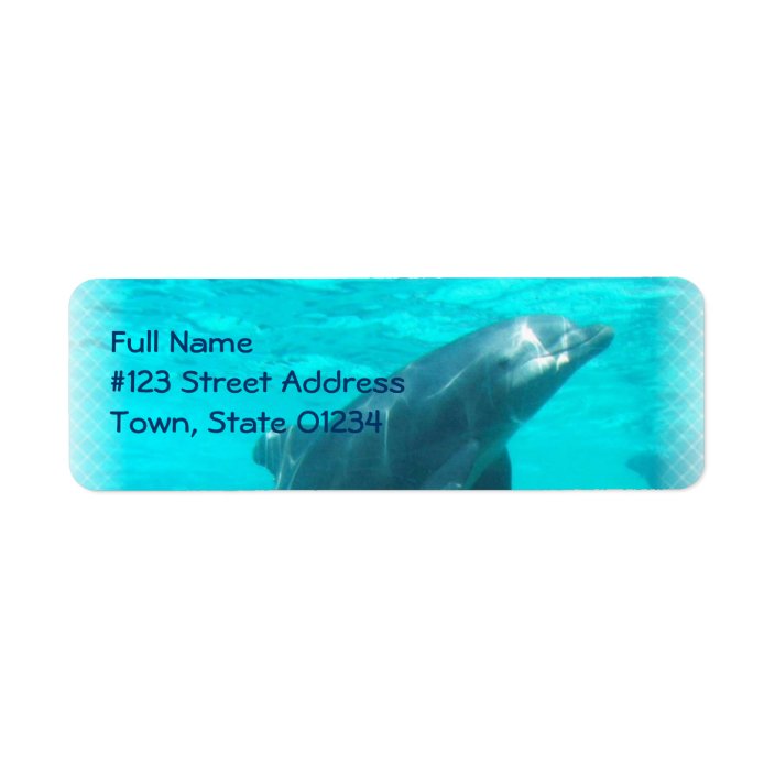 Swimming Dolphin Return Address Label