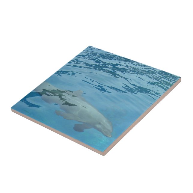 Swimming dolphin tile (Side)