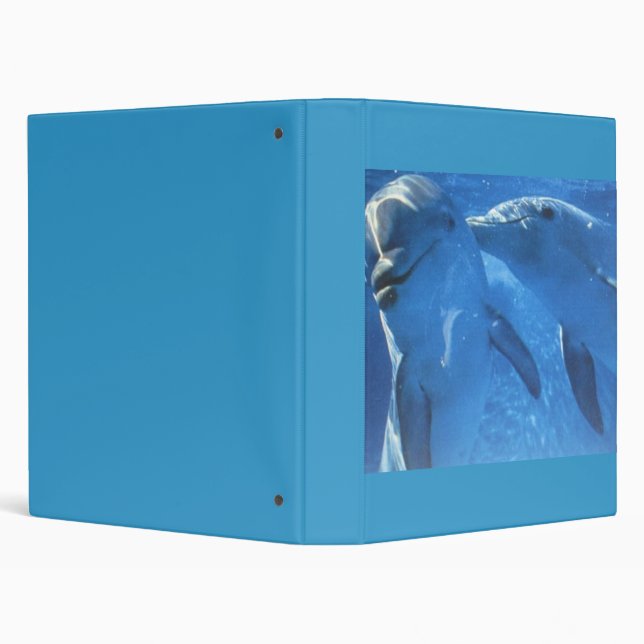 Swimming Dolphins 3 Ring Binder (Background)